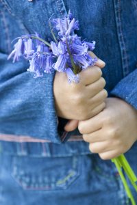Holding Purple Flowers