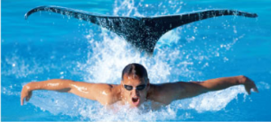 Man Swimming with Fins Image