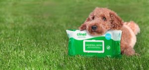 Green Clinell Wipes with Dog on Grass