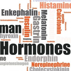 Hormone Word Web Image