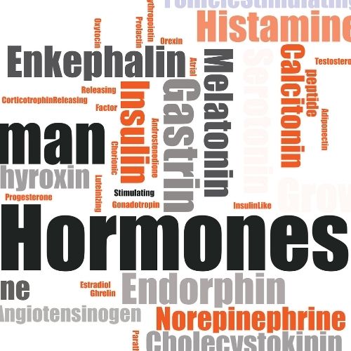 Hormones & Anabolics image cover
