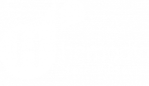 Hemodia