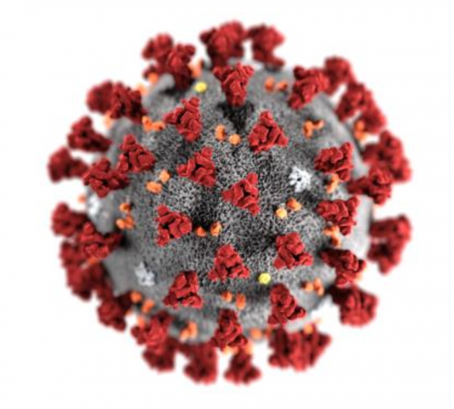 DCC Vital Novel Coronavirus (Covid-19) Statement image cover