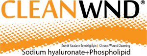 Clean WND Logo