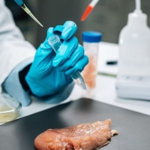 Food Pathogen Testing Image