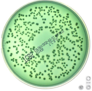 TCBS image cover