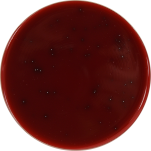 ACTINOMYCES SELECTIVE AGAR image cover