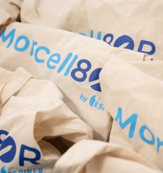 26031233_MSSC_Morcellation_Masterclass004