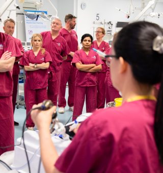 26031233_MSSC_Morcellation_Masterclass083