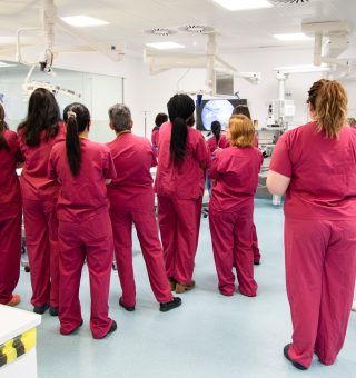 26031233_MSSC_Morcellation_Masterclass094