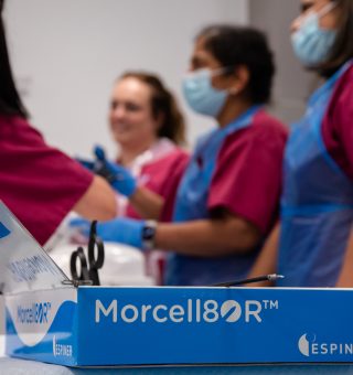 26031233_MSSC_Morcellation_Masterclass119