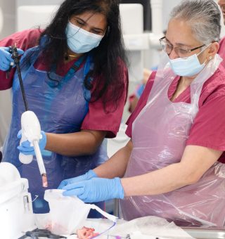 26031233_MSSC_Morcellation_Masterclass171