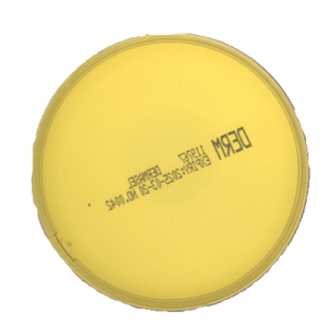 Dermasel image cover